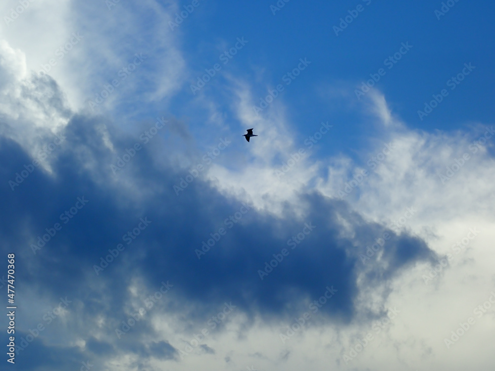 Natural Abstract from the Sky