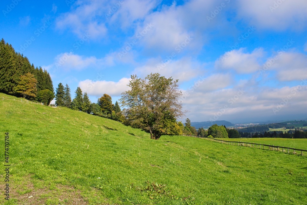 Beautiful green landscape in the German Allgäu mountains Beautiful green landscape in the German Allgäu mountains