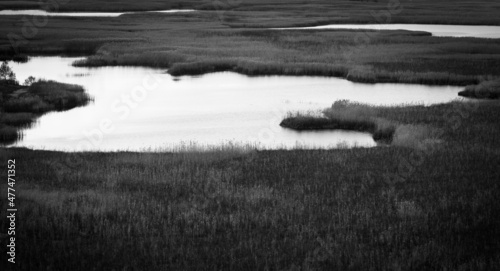 landscape with steppen swampland, black- white photo