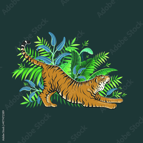 Vector Color Tiger Jungle Illustration