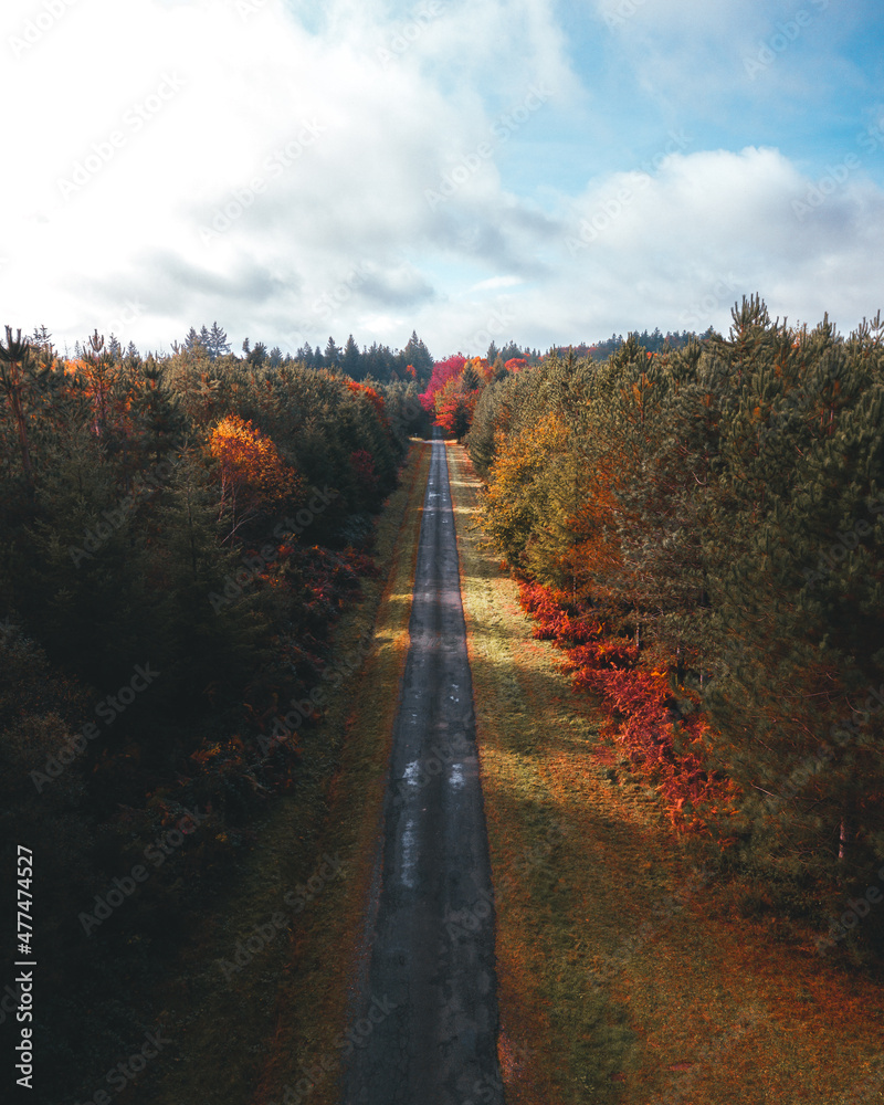 Autumn road in Dordogne / Route d'automne en Dordogne Autumn road in Dordogne / Route d'automne en Dordogne