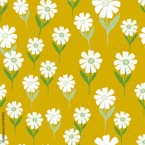 Chamomile pattern seamless in freehand style. Spring flowers on colorful background. Vector illustration for textile.