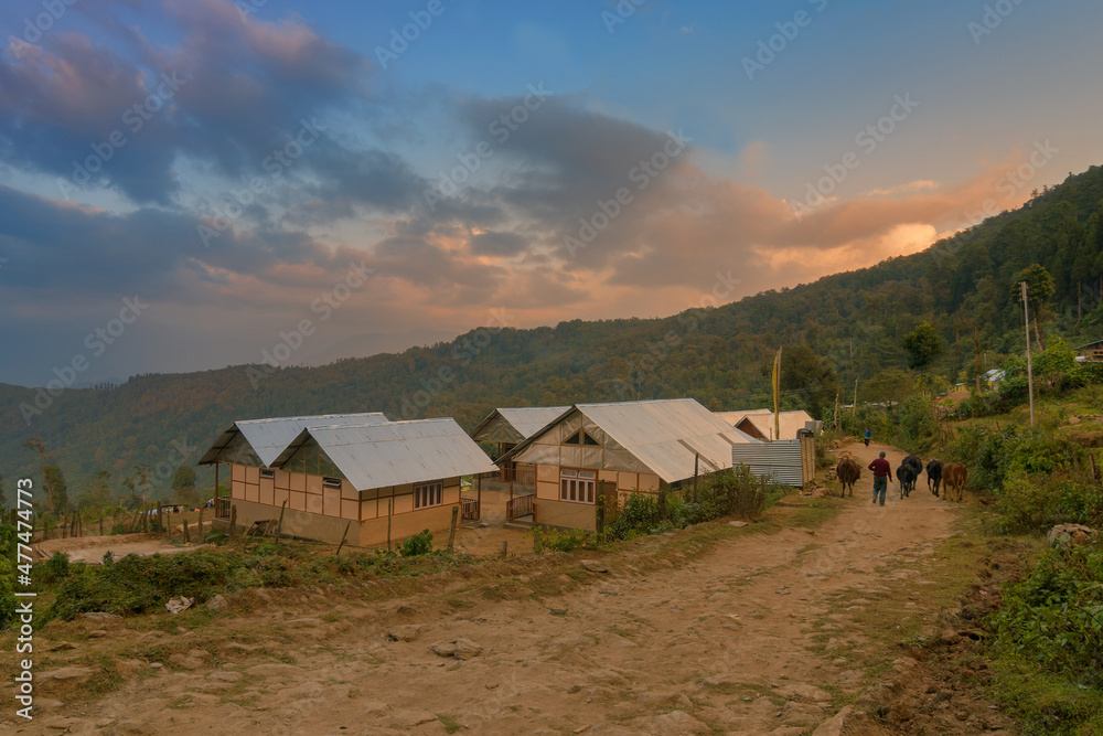 Houses beside road leading to mountain, Silerygaon Village at sunset, Sikkim; Shot at golden hour.