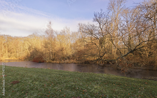The bed of a narrow river at the first frost ...