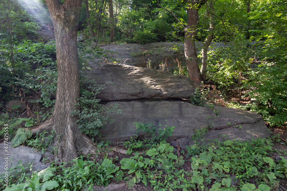Morningside Park with Rocks and Trees during the Summer in Morningside Heights of New York City