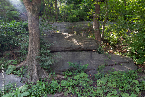 Morningside Park with Rocks and Trees during the Summer in Morningside Heights of New York City