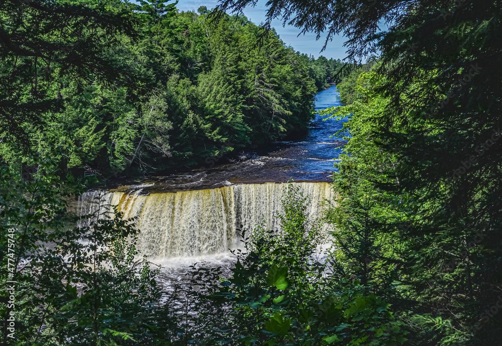 Fototapeta premium Long View of Higher Falls of Tahquamenon Falls; wide river rushing over cliff with forest on both sides in late summer. 195 