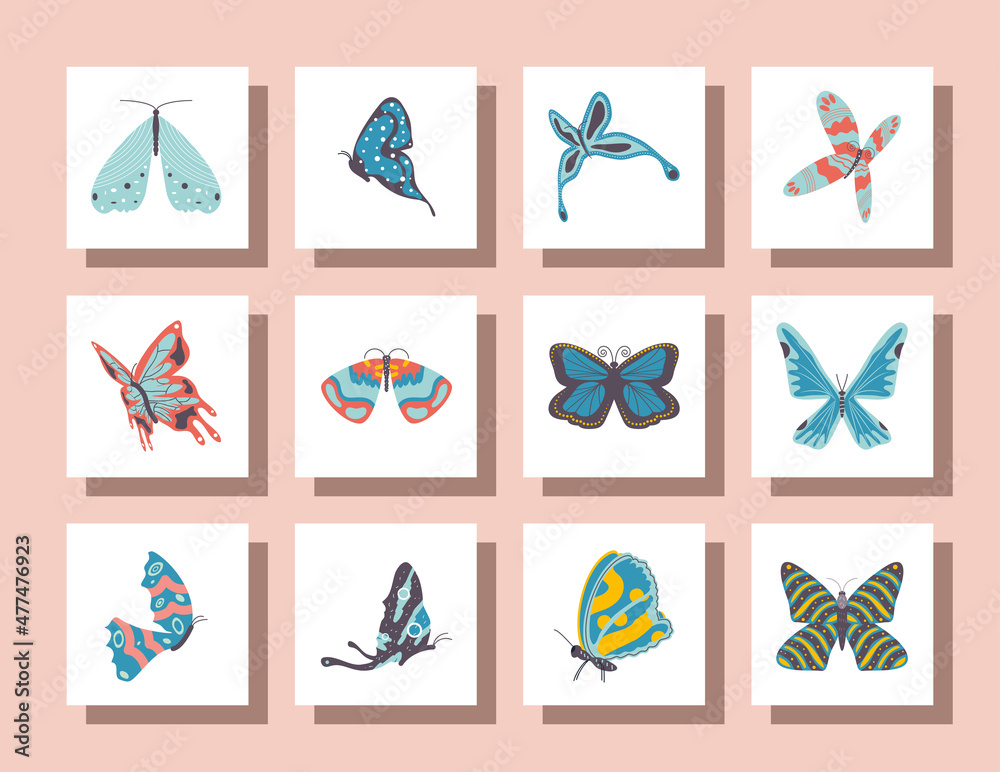 butterflies icons set