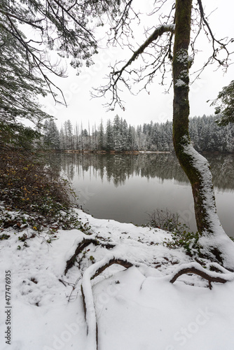 Winter scenery and snowy lake reflections in Washington state, Pacific Northwest