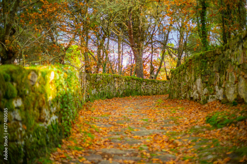 Path to the Castelo de Monterrei