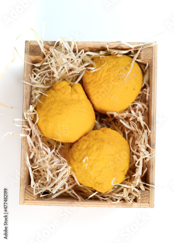 Three yellow yuzu citrus fruits in a wooden box with shavings. photo