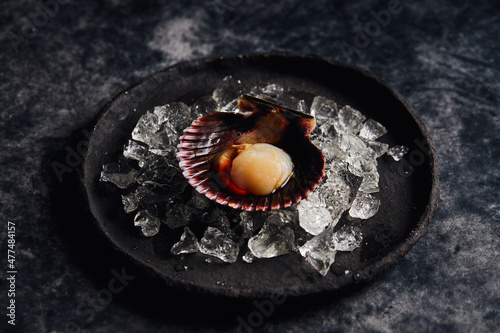 Delicious scallop served on shell against dark table