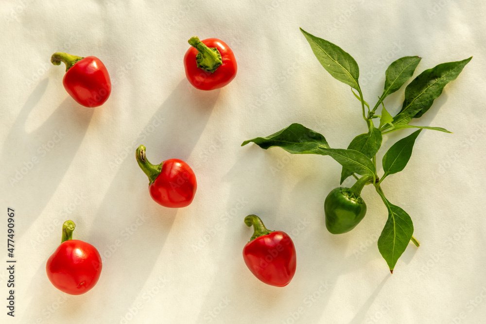 Cherry chili on a table. Top view of red ripe cherry bomb chili pepper.. Cherry chili on a table. Top view of red ripe cherry bomb chili pepper..