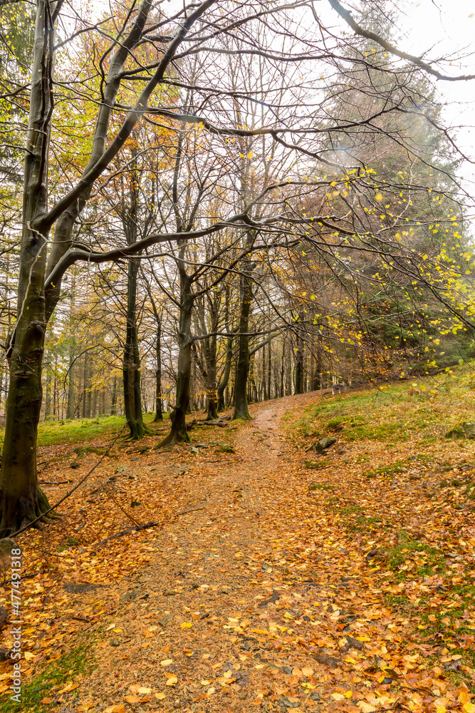 A few days of heavy rain in the English Lake District led to streams of water running off the autumnal colored fells