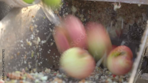 Closeup man uses collected fresh apples for crushing in grinding box before squeezing in wooden press to produce cider in village. Fruit vitamin paste. Raw vegan vegetarian healthy food concept 4k