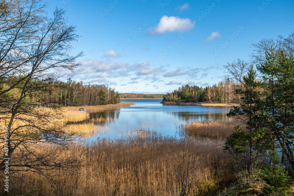 Coastal view and Gulf of Finland, trees, grass and sea, Kopparnas-Klobbacka recreation area, Finland