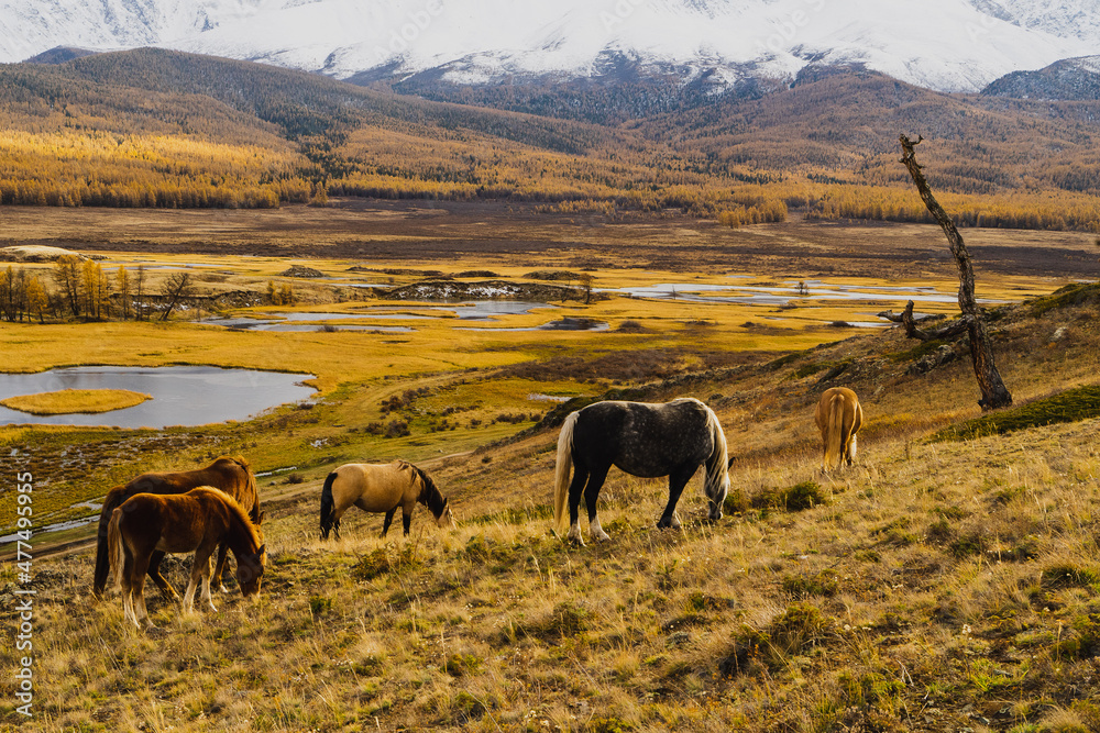 custom made wallpaper toronto digitalThe mountains