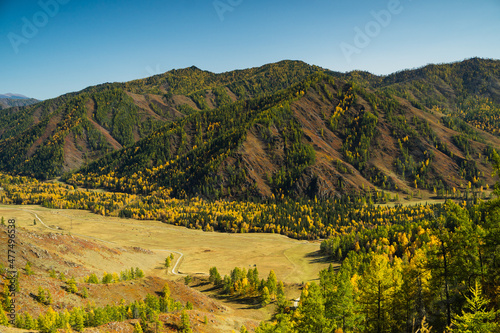 Altai