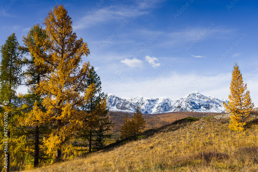 The mountains