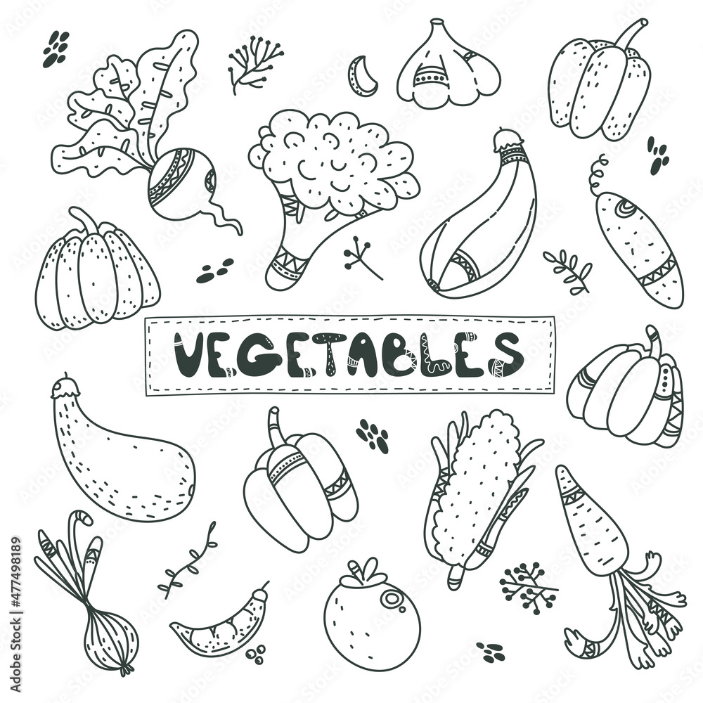 Cute black line doodle set about vegetables, carrot, garlic, onion, pumpkin, zucchini, beet, pepper, tomato, cucumber.  vegan food. autumn harvest. scandi Sketch style