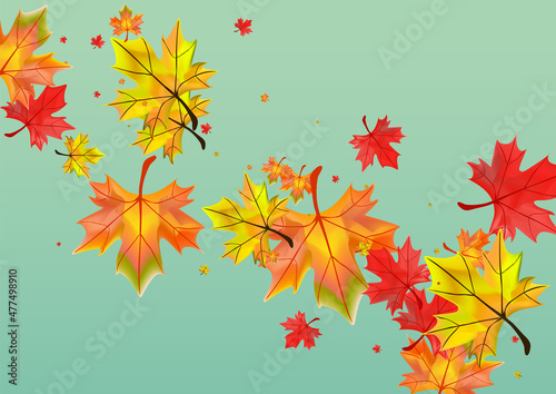Yellow Foliage Background Green Vector. Leaf Tree Card. Autumnal Beautiful Plant. Canadian Floral Texture.