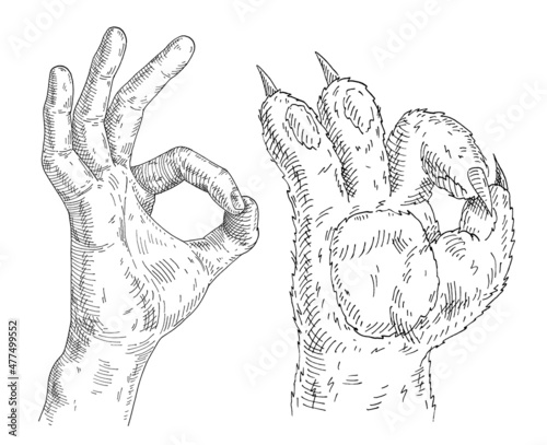 Cat paw and human hand sign showing sign okay. Vintage monochrome gray hatching illustration