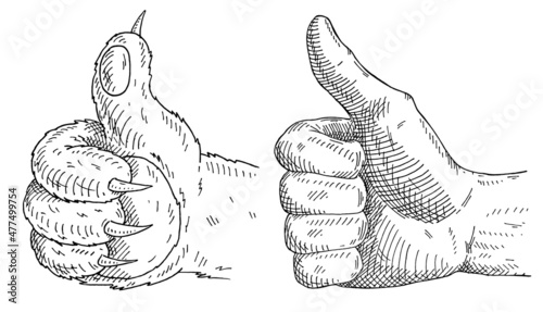 Cat paw and himan male hand showing symbol like isolated on a white background.