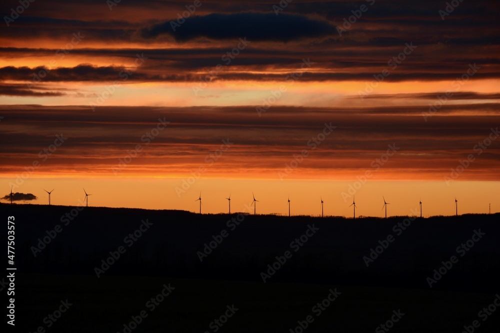 Windmills Sunset