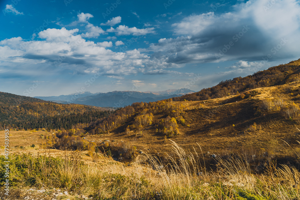 Mountain Mountain