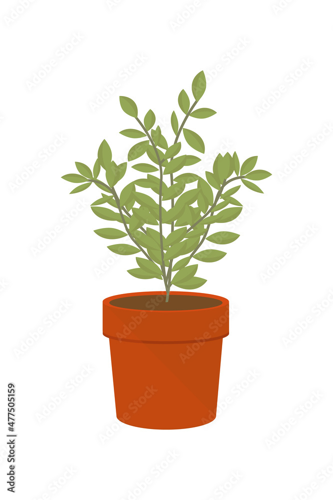 Vector illustration flower, plant growing in a pot. Potted plant icon. Little plant seedling. Seedling icon