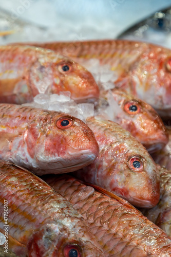 Fresh Fish For Sale on a Market Stall
