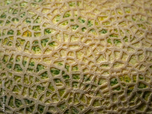 Сantaloupe sweet melon closeup texture background