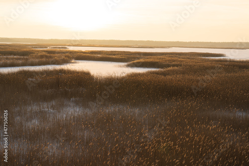 Sunny winter day by the lake