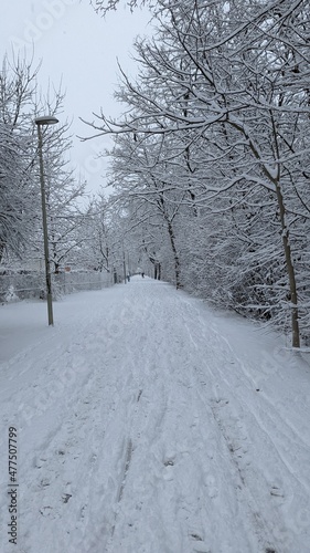 snow covered road © Leonhard
