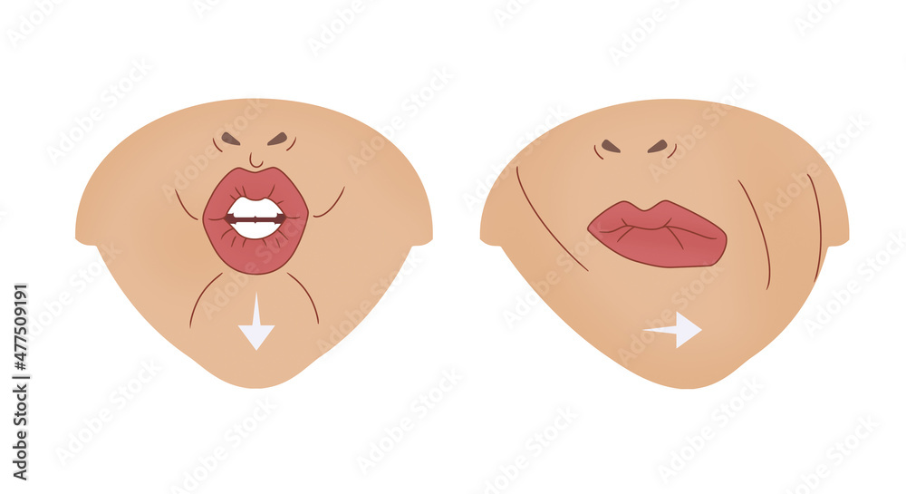 Exercises for the expression muscles around the lips and mouth. Relaxation and workout of muscles. Illustration Exercises for the expression muscles around the lips and mouth. Relaxation and workout of muscles. Illustration