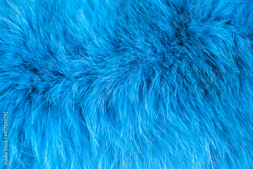 Azure furry texture. Abstract animal navy blue fur background, soft selective focus