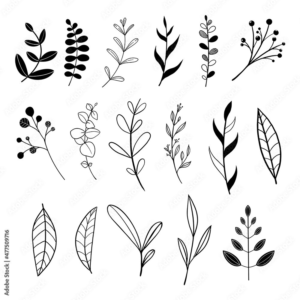 Leaf and twigs line icons set