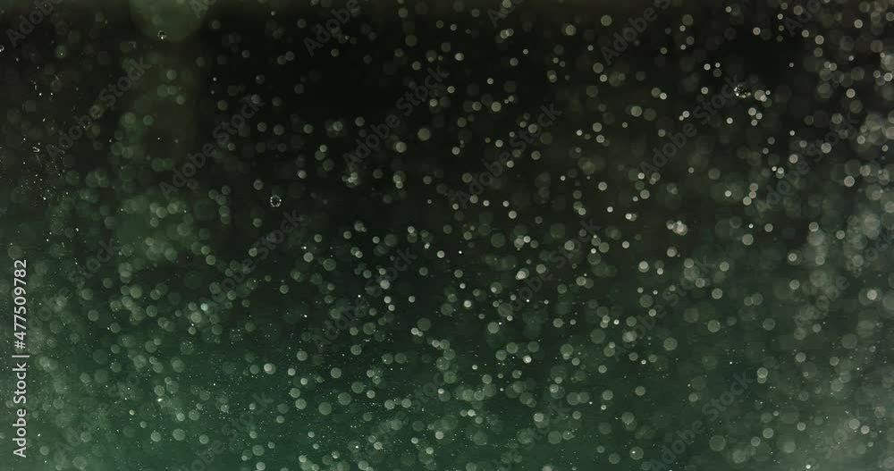 Green Bubbles And Particles In Water Against Black Background Green Bubbles And Particles In Water Against Black Background
