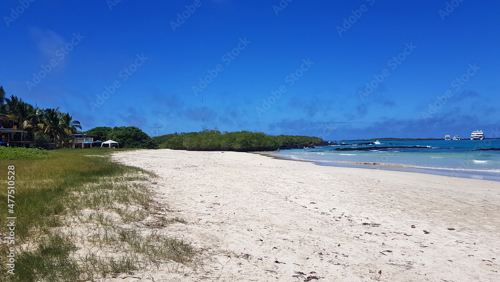 Fototapeta premium Sandy beach on the island of Isabela, Galapagos archipelago.