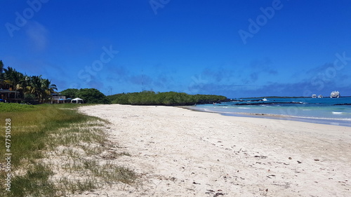 Sandy beach on the island of Isabela, Galapagos archipelago.