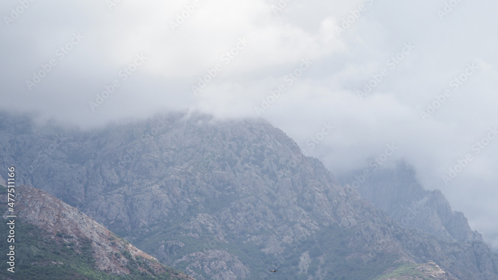 Corsica is the fourth-largest island in the Mediterranean and lies southeast of the French mainland.