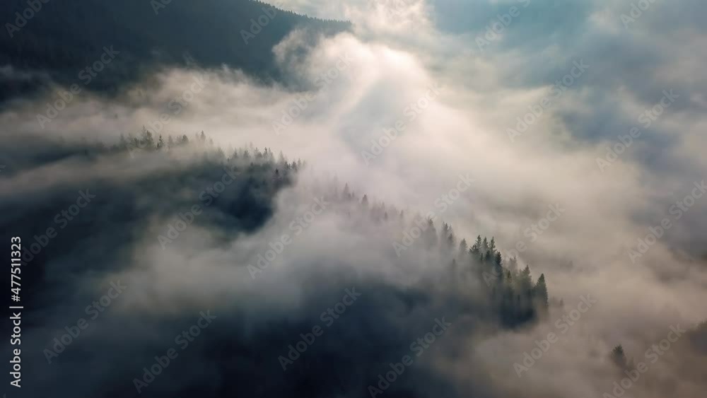 Aerial view of Misty forest nature 4K