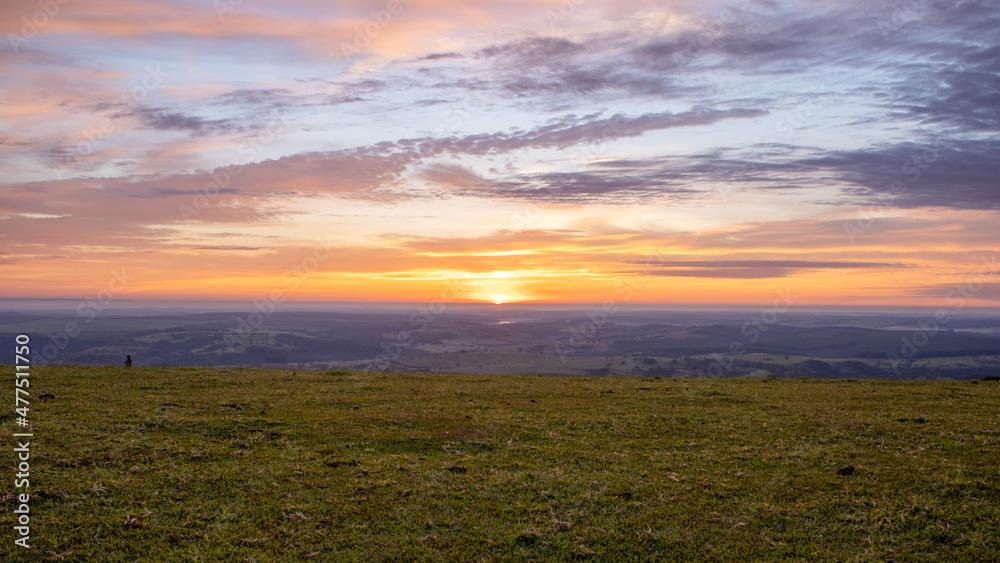 sunset over the field