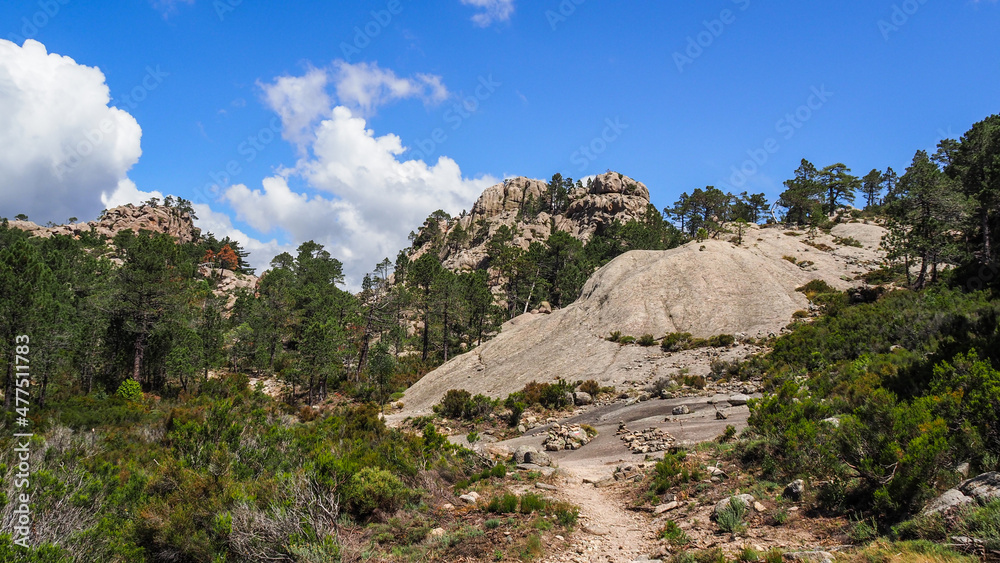 The GR 20 is a GR footpath that crosses the Mediterranean island of Corsica running approximately north-south. The GR 20 is a GR footpath that crosses the Mediterranean island of Corsica running approximately north-south.