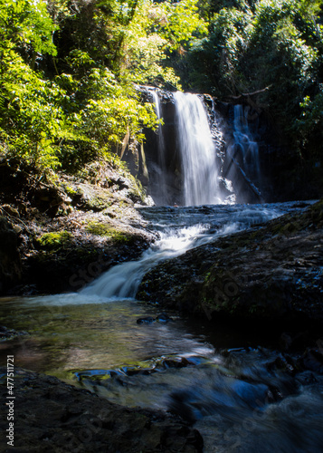 Fototapeta Naklejka Na Ścianę i Meble -  waterfall in the forest. cachoeira da canela. botucatu