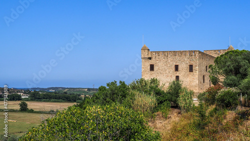 Corsica is the fourth largest island (after Sicily, Sardinia, and Cyprus) in the Mediterranean.