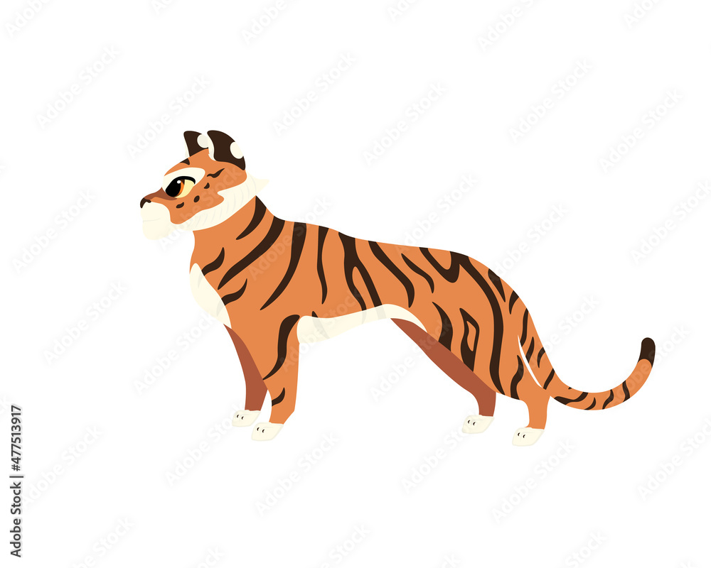 Obraz premium Collection of tiger's illustrations with brown stripes and big eyes in different poses