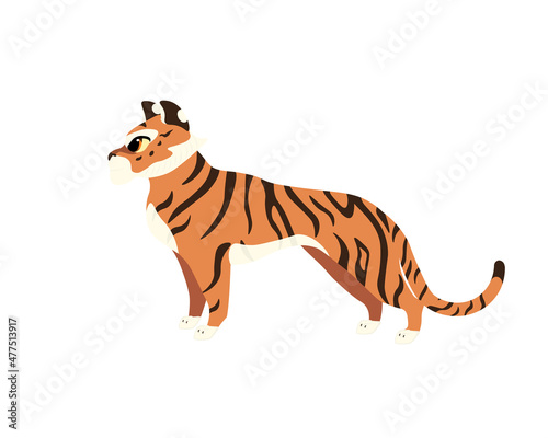 Collection of tiger s illustrations  with brown stripes and big eyes in different poses