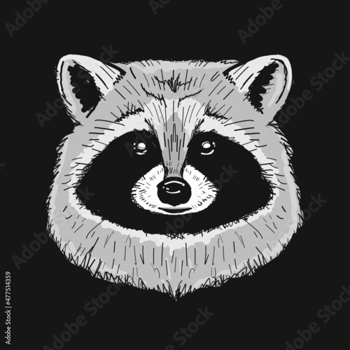 Funny Racoon Face Isolated on black.