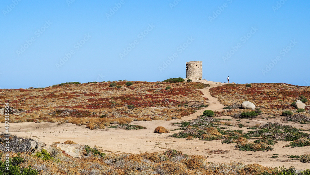 Corsica is the fourth-largest island in the Mediterranean and lies southeast of the French mainland.